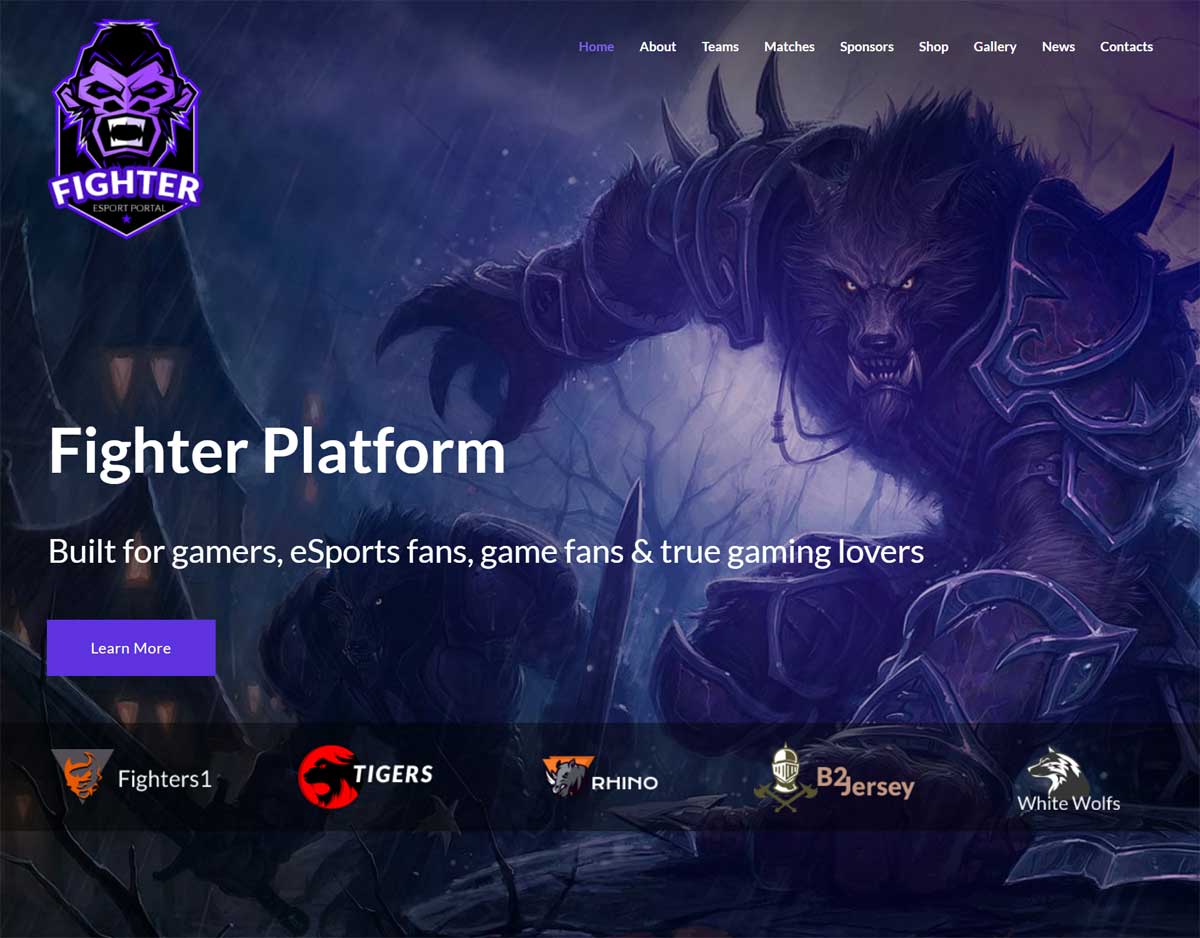 17 Best Esports Website Template Designs 2026