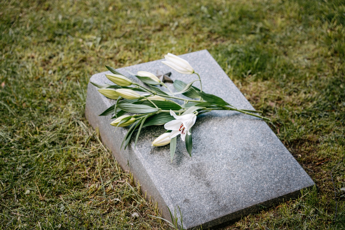 6 Best Memorial WordPress Themes 2026